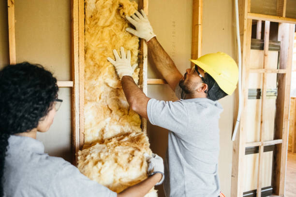 Garage Insulation Installation in Daphne, AL